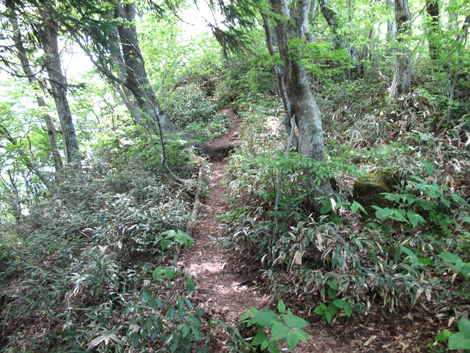 20140517hike (188)